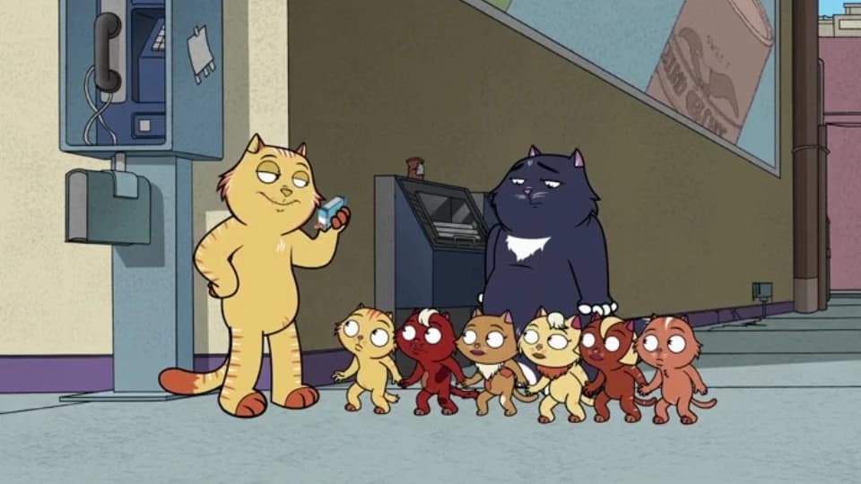 Секс и котята